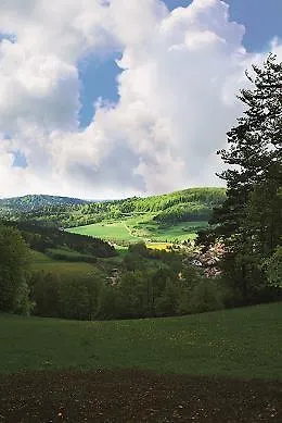 Berggasthof Hotel Igelwirt Schnaittach