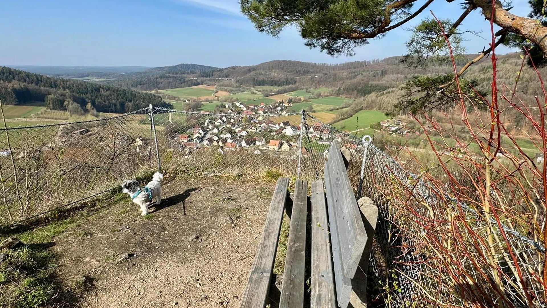 Berggasthof Hotel Igelwirt Schnaittach